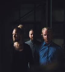 download cytotoxic drug resistance mechanisms